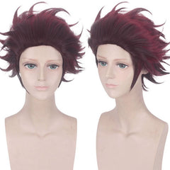 Kanroji2 Cosplay Peruecke Damen